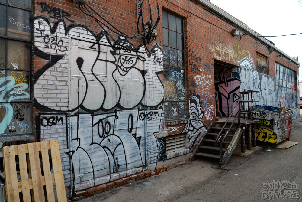 NIET Graffiti  Denver CO. 