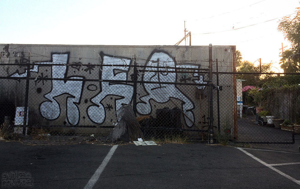 Leo Graffiti East Bay California. 
