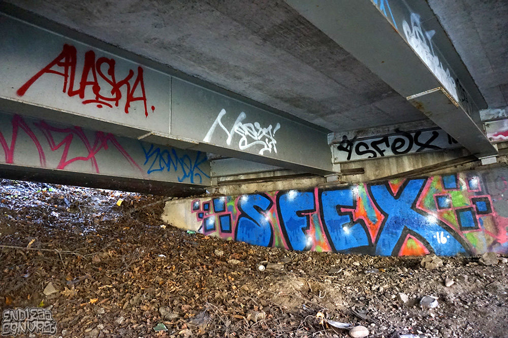 Alaska Nesta Sfex Graffiti. 