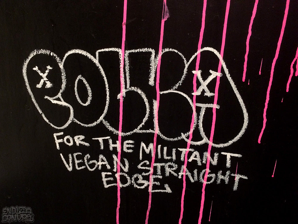 Polka Graffiti for the militant vegan straight edge New York. 